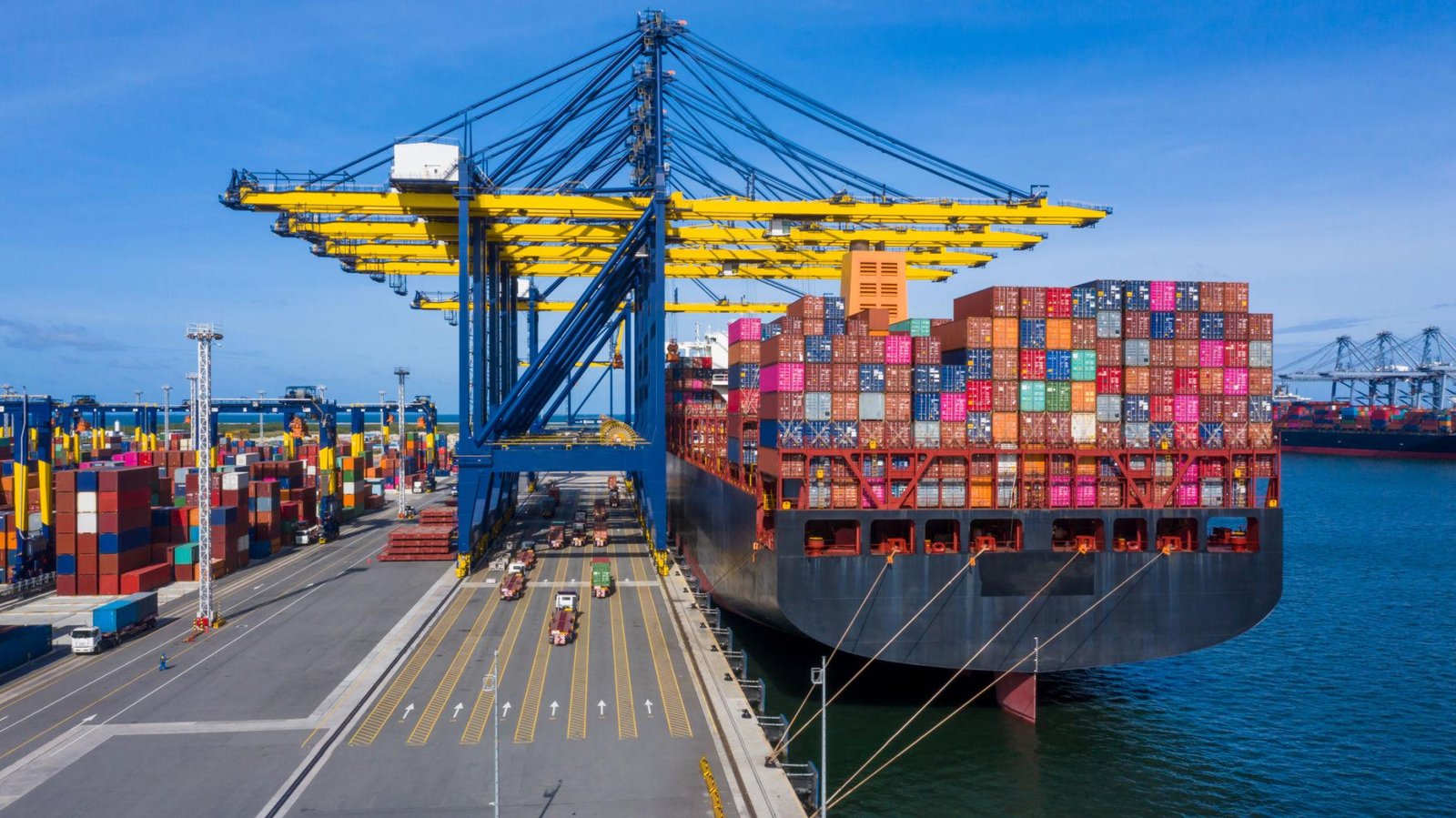 Import & Export